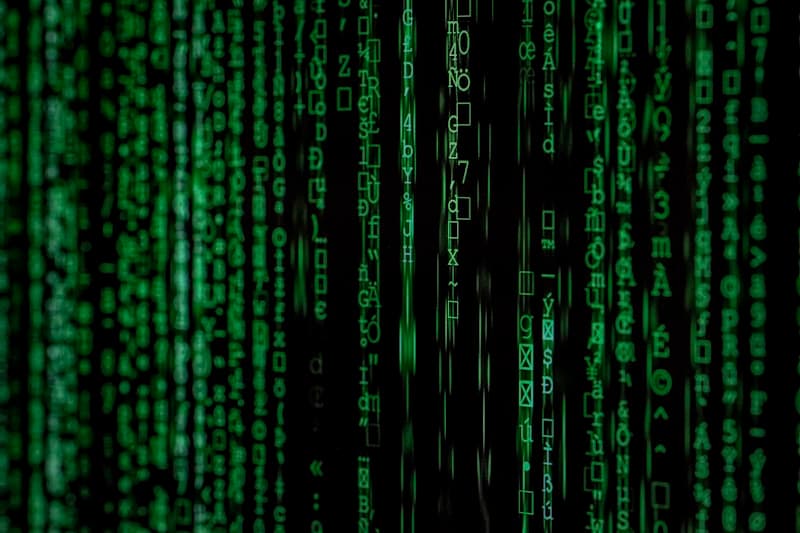 Part 3: Identifying and Patching the Weak Links - Vulnerability Management Tools